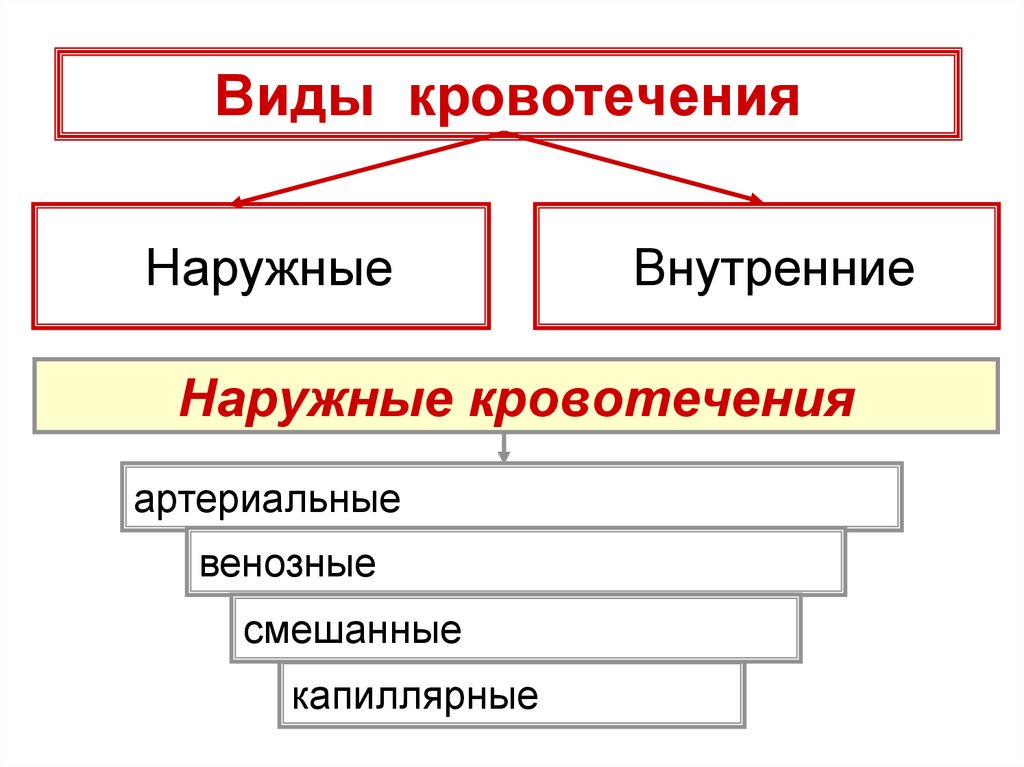 Кровотечения бывают