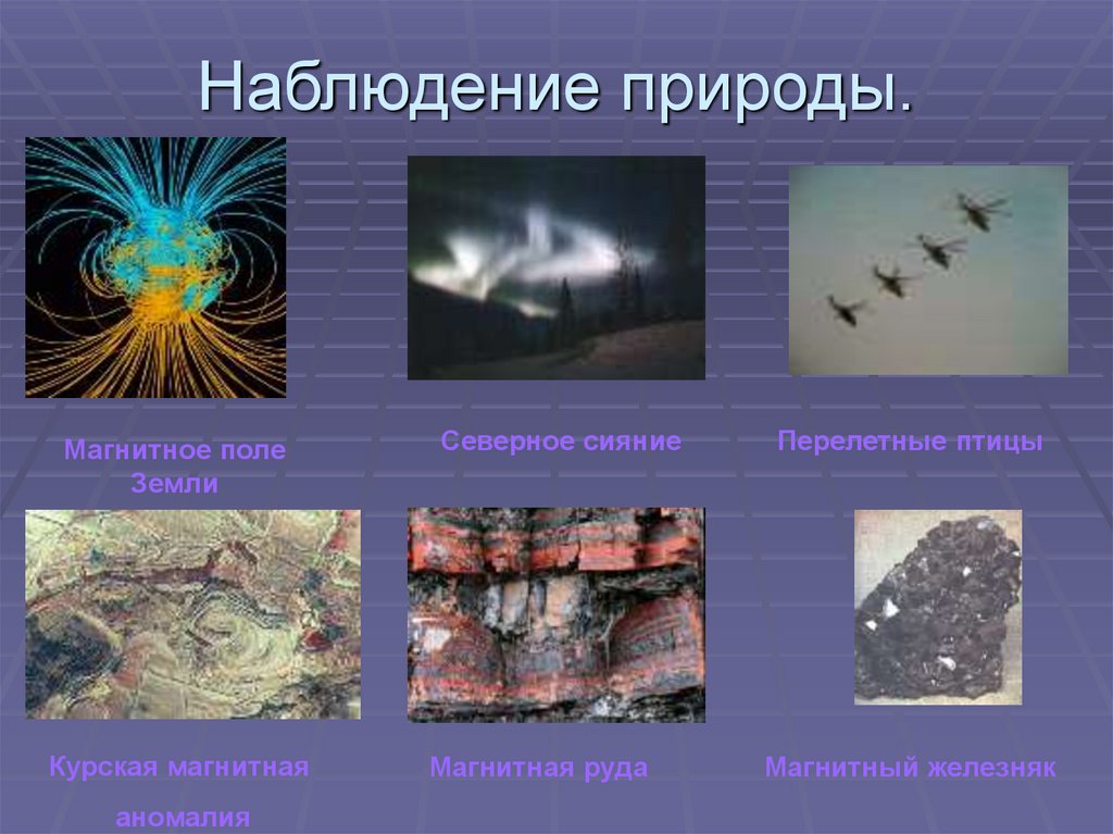 Природное магнитное поле. Природа магнитного поля. Электромагнитное поле в природе. Магнитное поле и животные. Влияние среды на магнитное поле.