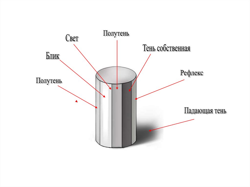 Законы света и тени в рисунке