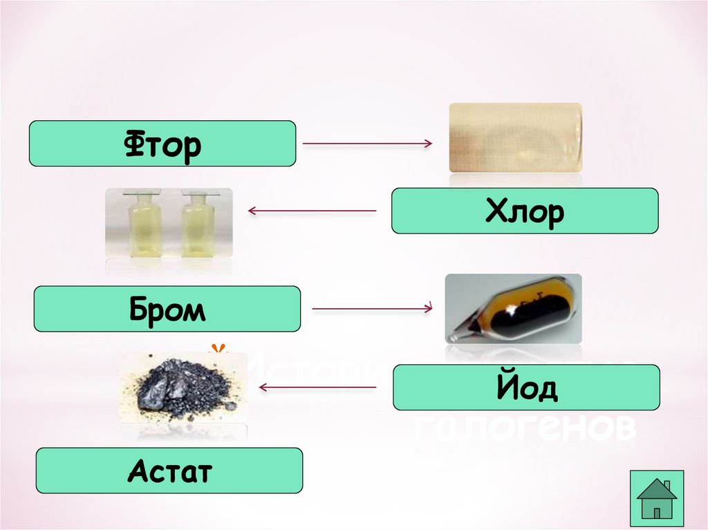 Галогены что общего