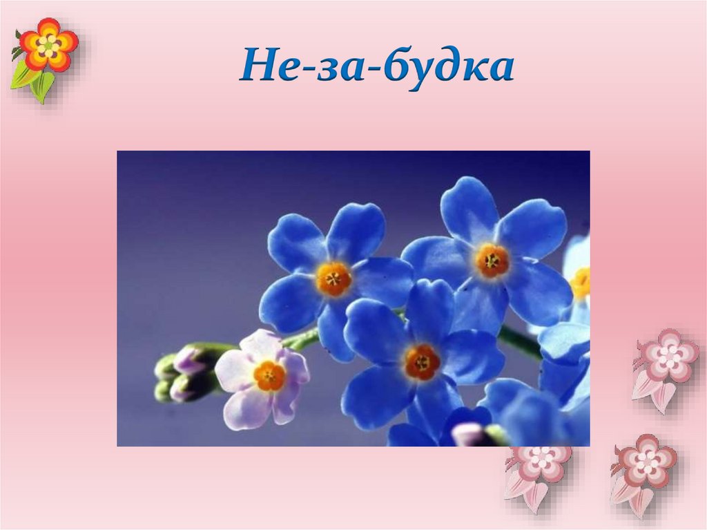 Не-за-будка