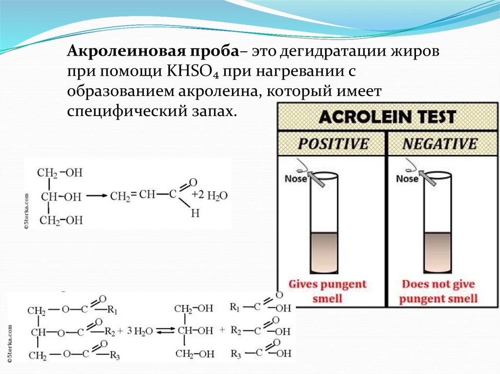 Реакция образования глицерина. Акролеиновая проба на жиры. Реакция образования акролеина. Акролеиновая проба на глицерин. Проба на акролеин вывод.