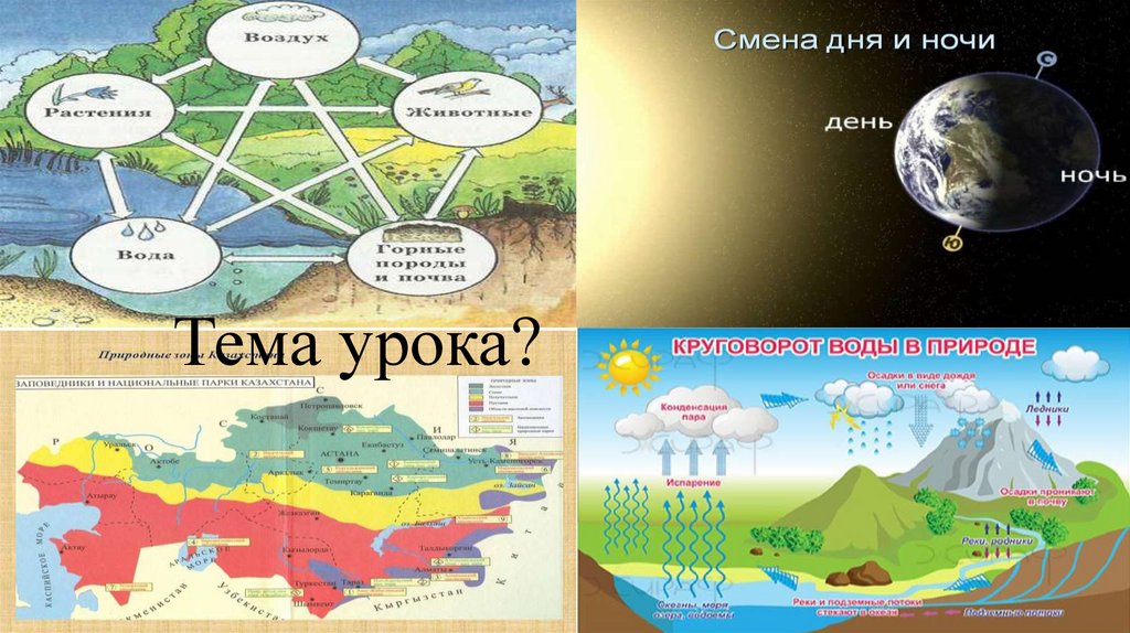 Природно территориальные комплексы земли. Ресурсы природно-территориальных комплексов.