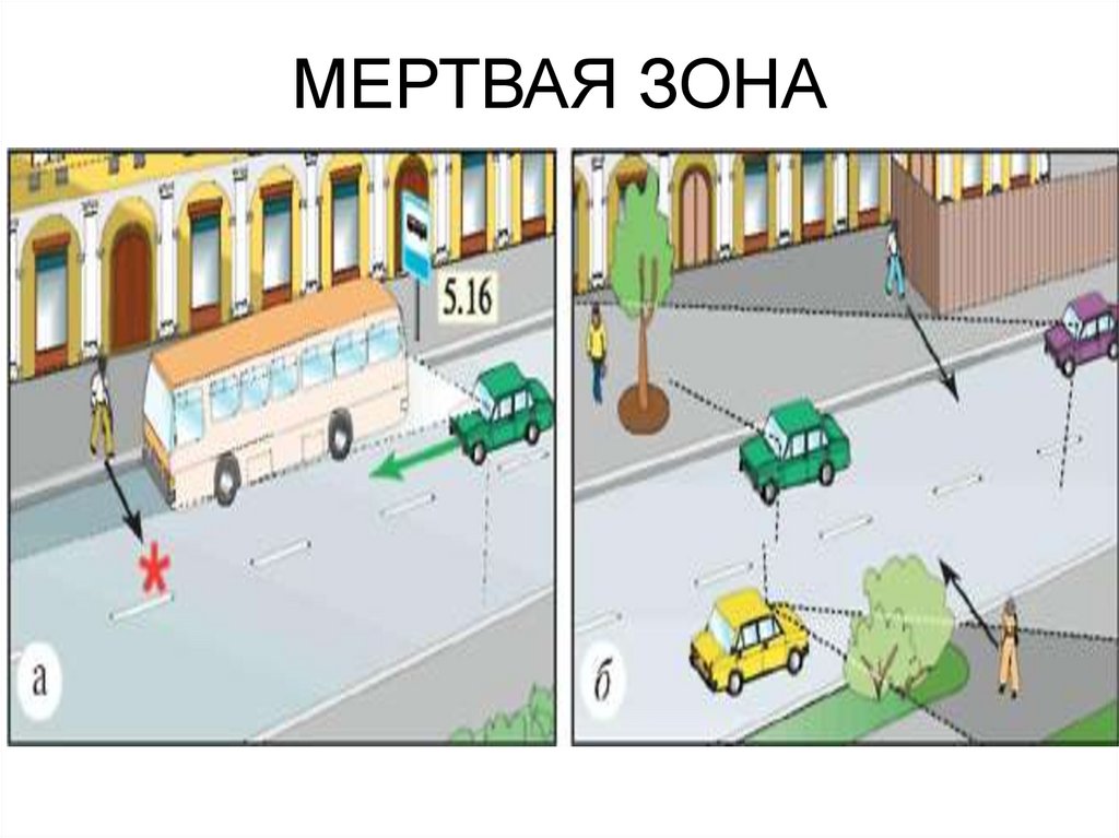 МЕРТВАЯ ЗОНА