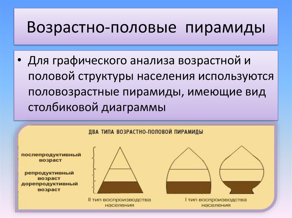 Типы возрастной структуры. Возрастно половые пирамиды. Типы половозрастных пирамид. Возрастно половая пирамида типы. Типы возрастно-половых пирамид.