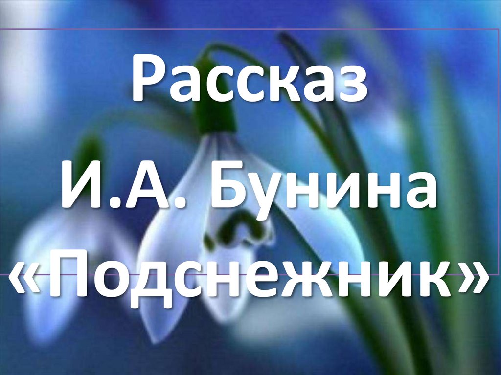 Бунин подснежник читательский дневник. Бунин и. "Подснежник". Бунин Подснежник иллюстрация. Иллюстрация к рассказу Бунина Подснежник. Бунин Подснежник картинки.