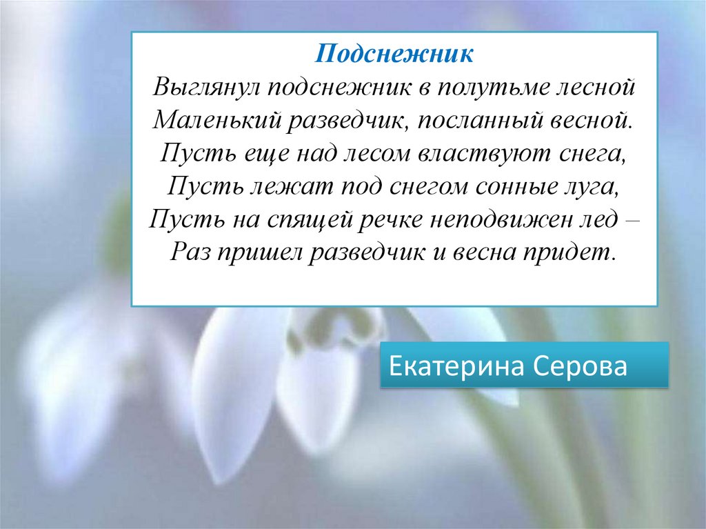 Рассказ бунина называется. Бунин Подснежник иллюстрация. Бунин Подснежник сколько страниц. Иллюстрация к рассказу Бунина Подснежник. Бунин и. "Подснежник".