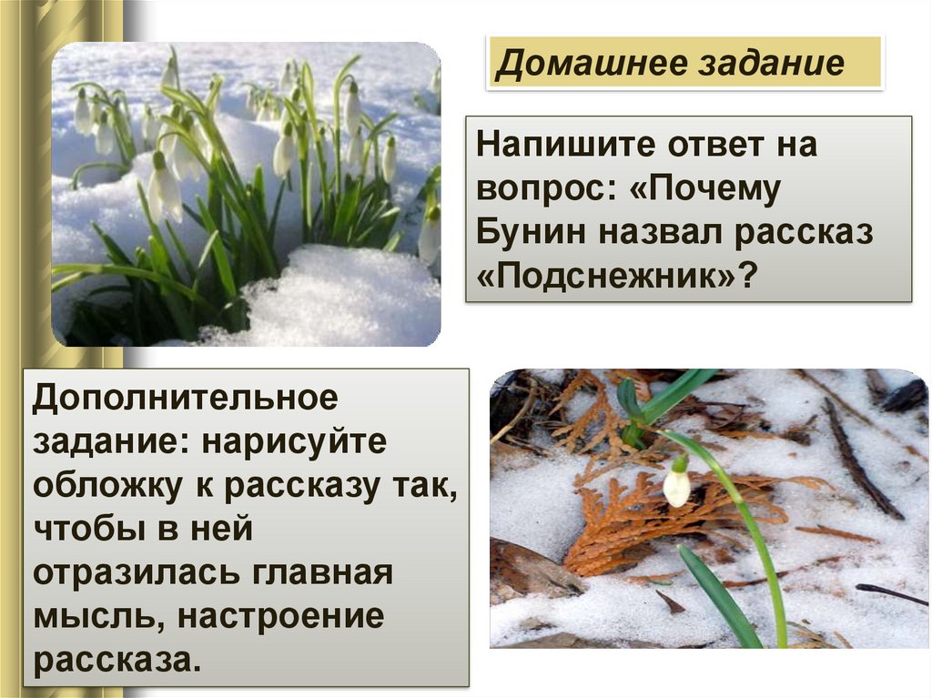 Бунин подснежник слушать. Рассказ Подснежник Бунин. Рассказ о подснежнике. Подснежник презентация. Подснежник задания.