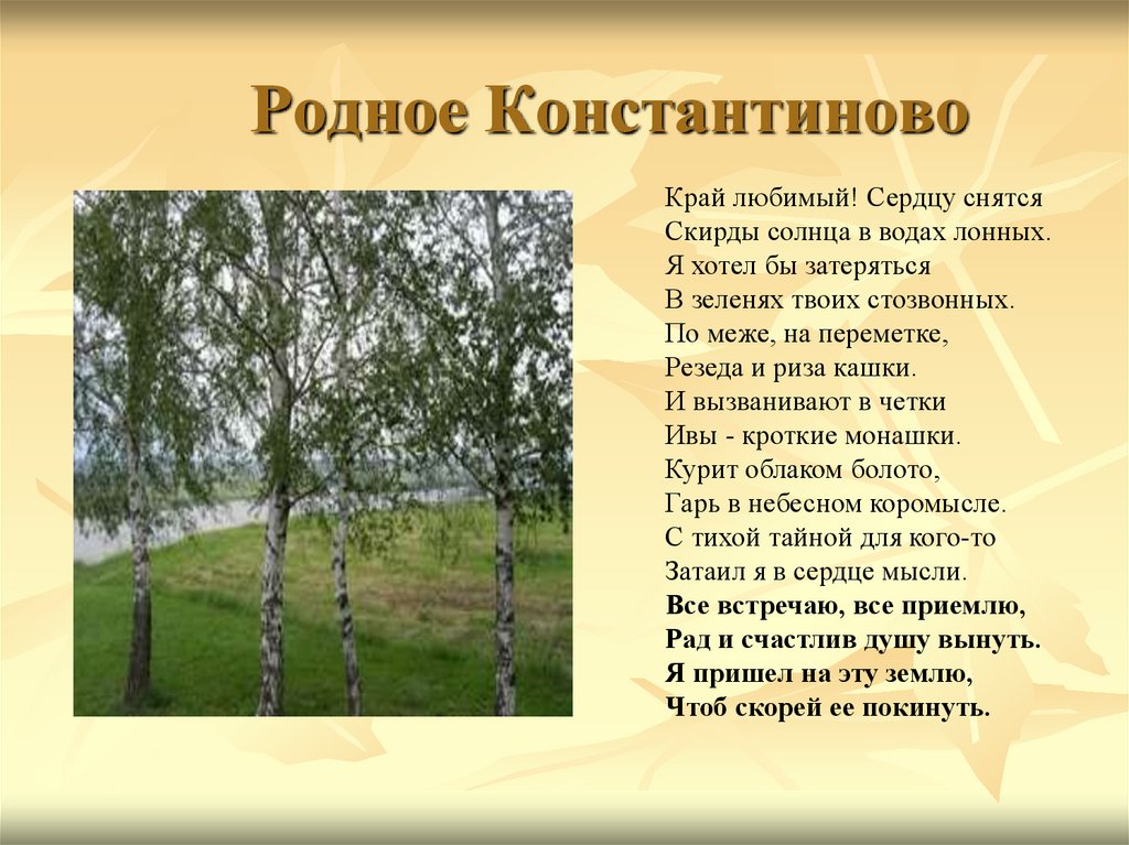 Поэзия родной природы кратко