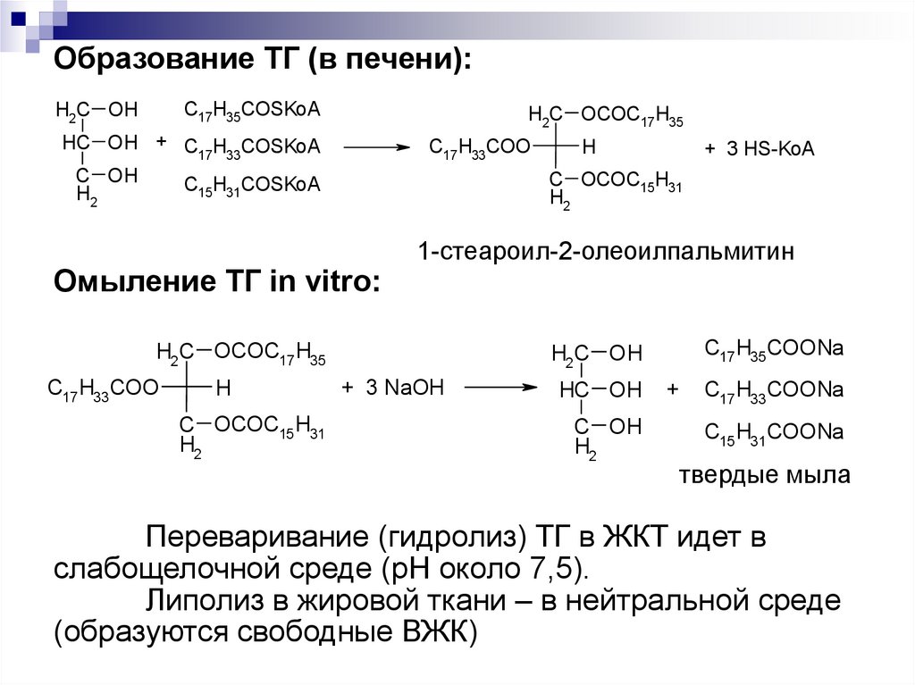 Образование ТГ (в печени): 1-стеароил-2-олеоилпальмитин Омыление ТГ in vitro: твердые мыла Переваривание (гидролиз) ТГ в ЖКТ