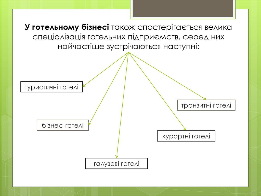 У готельному бізнесі також спостерігається велика спеціалізація готельних підприємств, серед них найчастіше зустрічаються