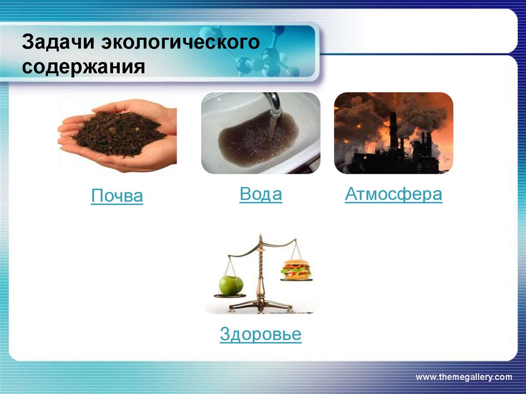 Задачи экологического содержания