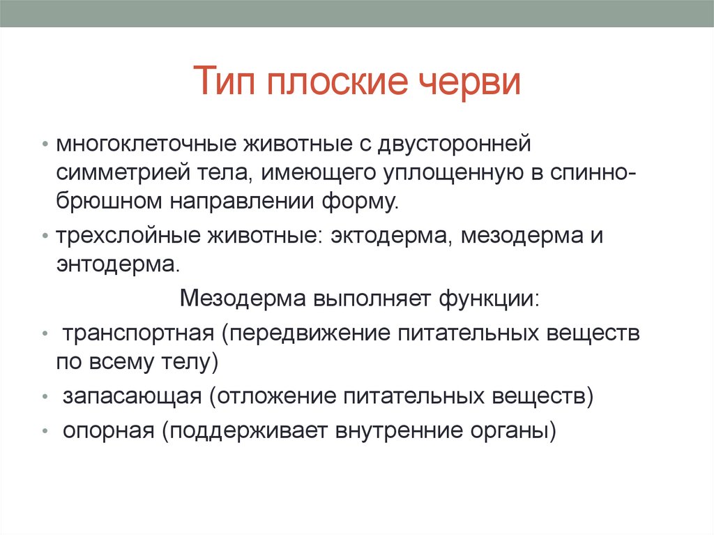 Симметрия тела плоских червей. Плоские черви имеют вытянутое уплощённое тело. Вывод по плоским червям. Что дает уплощенная форма тела плоских Червякова.