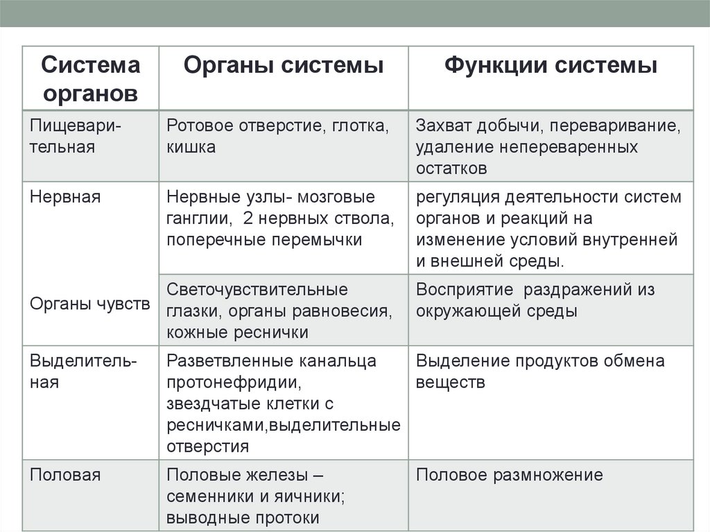 Общая характеристика червей тип плоские черви 7 класс презентация