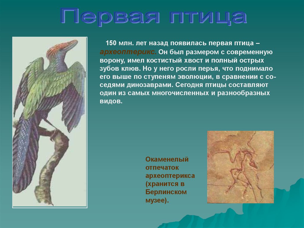Откуда появились птицы. Появление археоптерикса Эра. Древняя птица Археоптерикс. Древние птицы Археоптерикс. Мезозой Археоптерикс.