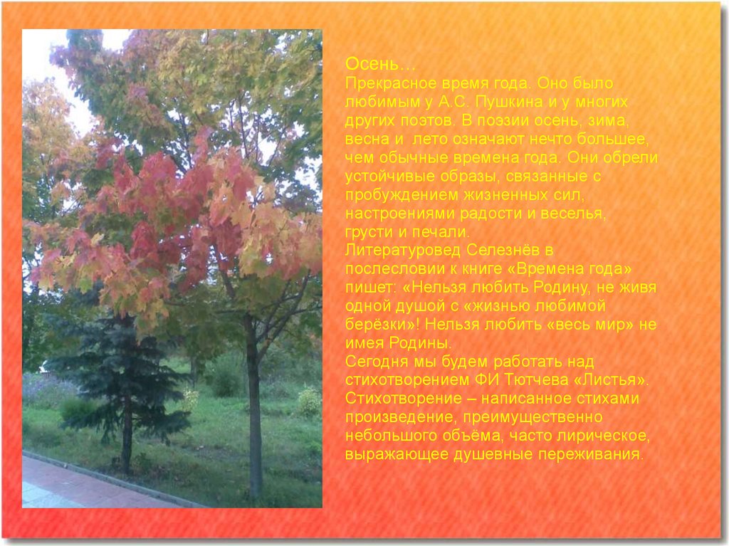 Стих листья дерева. Стих листья. Ф.И.Тютчева "листья". Осенние листья Тютчев. Рассказ Тютчева листья.