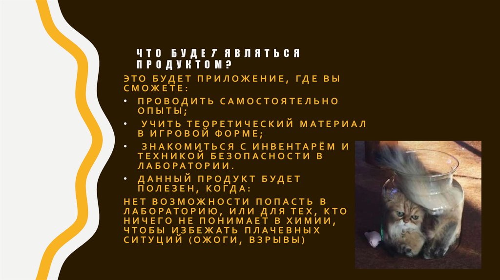 Что будет являться продуктом?