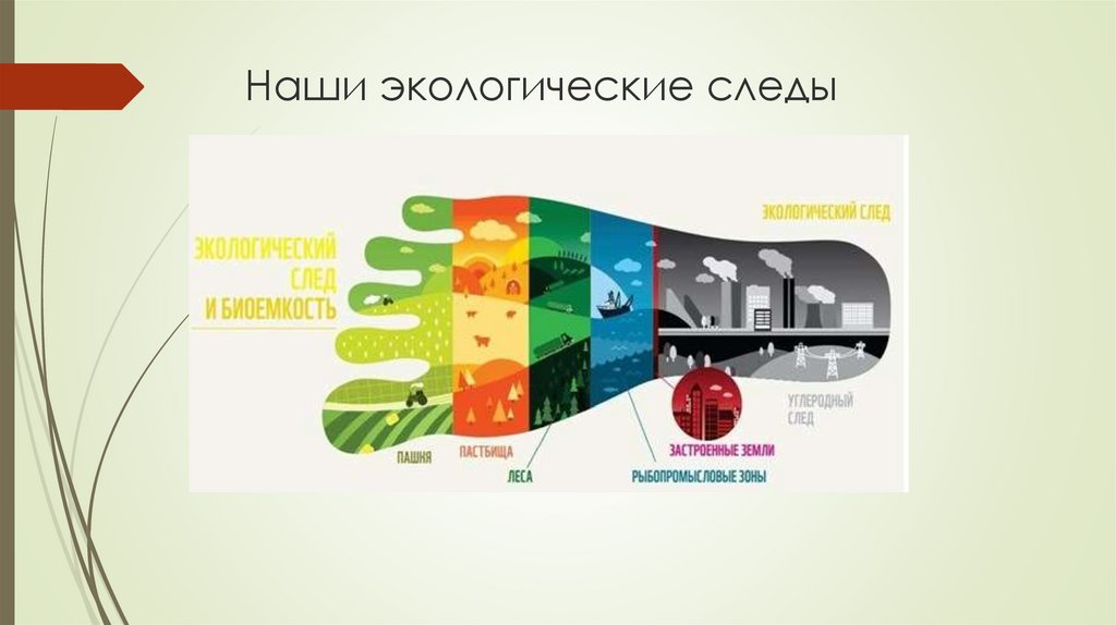 Экологический след и индекс человеческого развития презентация