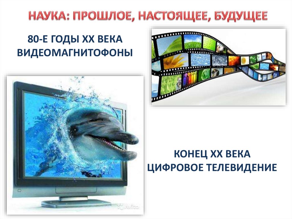 Какой вид товара может быть проиллюстрирован с помощью данного изображения объясните что отличает