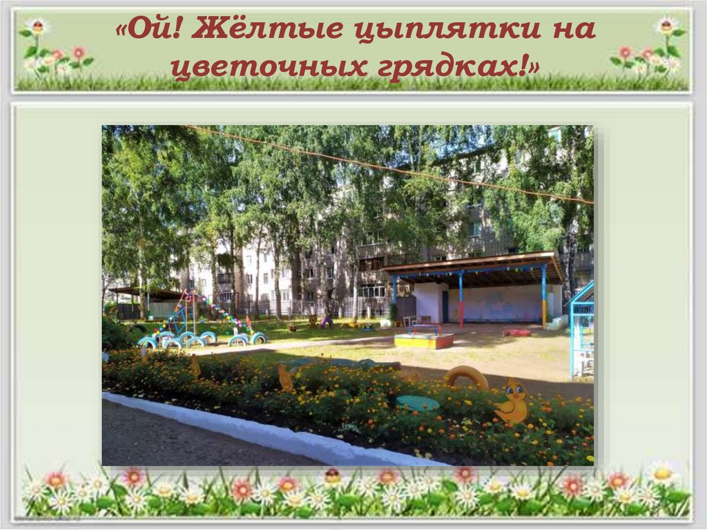 «Ой! Жёлтые цыплятки на цветочных грядках!»