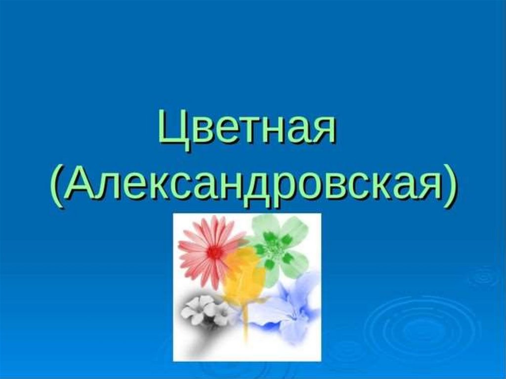 Александровская гладь проект