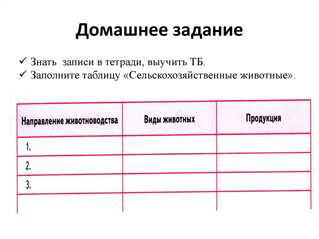 Домашнее задание