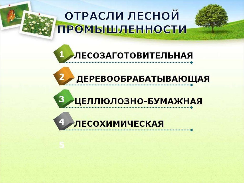 Какими отраслями наиболее тесно связана лесная промышленность. Отрасли Лесной промышленности. Лесная промышленность структура отрасли. Лесопромышленная отрасль. Этапы Лесной промышленности.