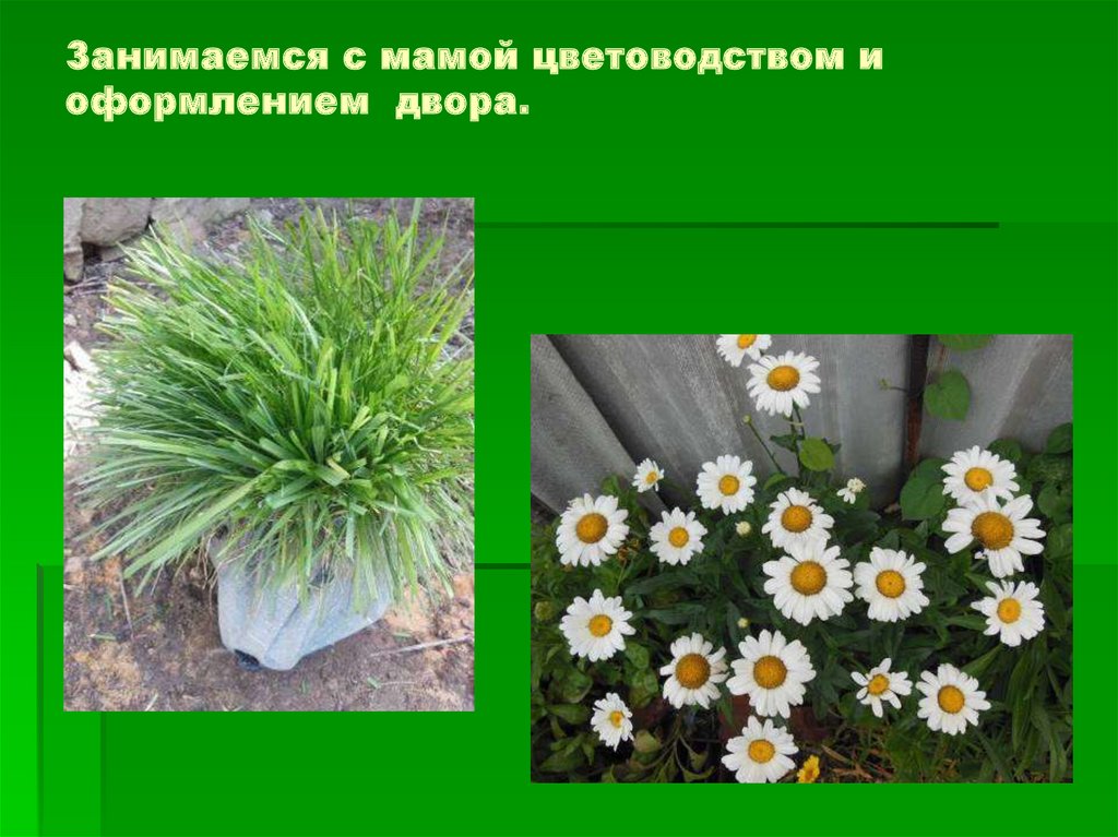 Занимаемся с мамой цветоводством и оформлением двора.