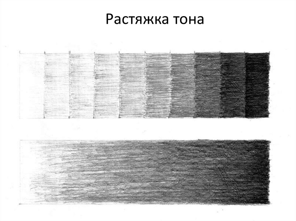 Тон в рисунке. Штриховка растяжка. Растяжка рисунок карандашом. Растяжка по тону.