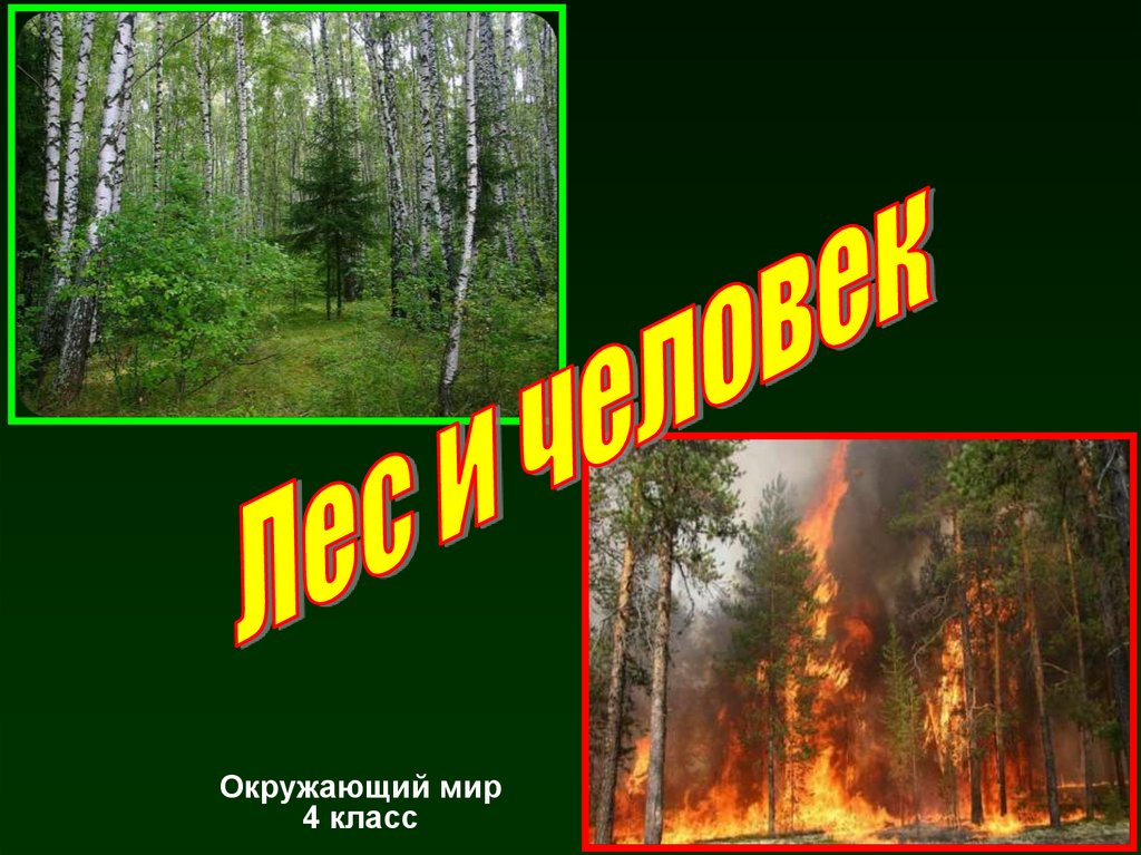 Лес и человек 4 класс. Человек и лес презентация 4 класс. Лес и человек 4 класс окружающий мир. 4 Человека в лесу.