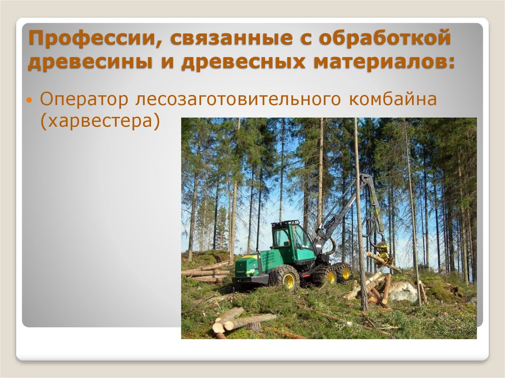 Перед тем как отправиться в лес обработайте. Профессия связанных с лесозаготовление. Профессии связанные с лесозаготовительными работами. Профессии связанные с заготовкой леса. Профессия, связанные с лесозаготовкой.