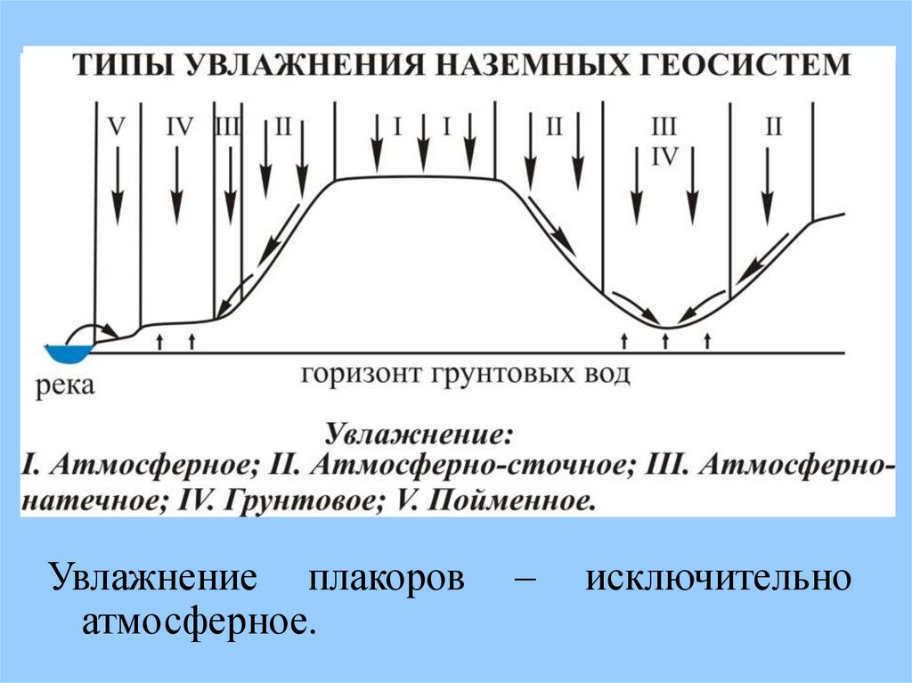 Типы местности. Плакор. ПЛАКОРНЫЙ Тип местности. Основные типы морфолитогенеза. Плакоры ландшафтоведение.