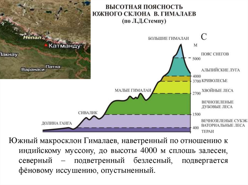 Высотная поясность в горных системах Евразии. Высотная поясность Гималаев. Высотная поясность Юга Сибири. Высотная поясность Гималаев схема.