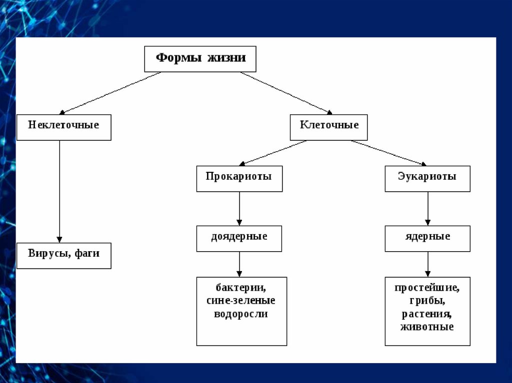 Неклеточные формы жизни это