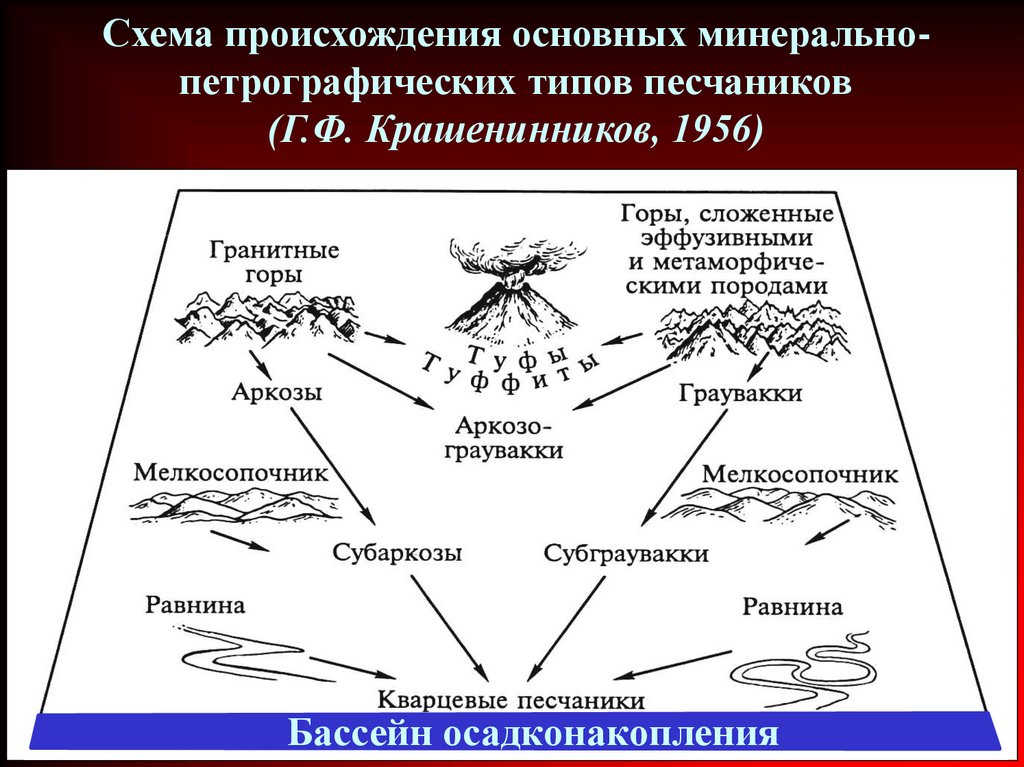 Схема происхождения языка