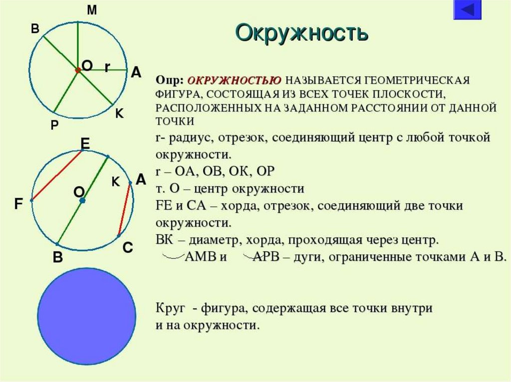 Новые правила круга. Окружность. Правило окружности. Окружность геометрия. Геометрические понятия окружность и круг.