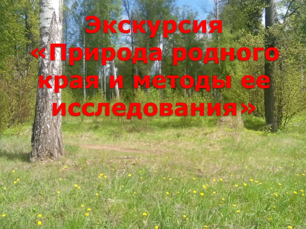 Книга природы родного края