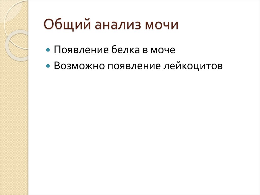 Общий анализ мочи