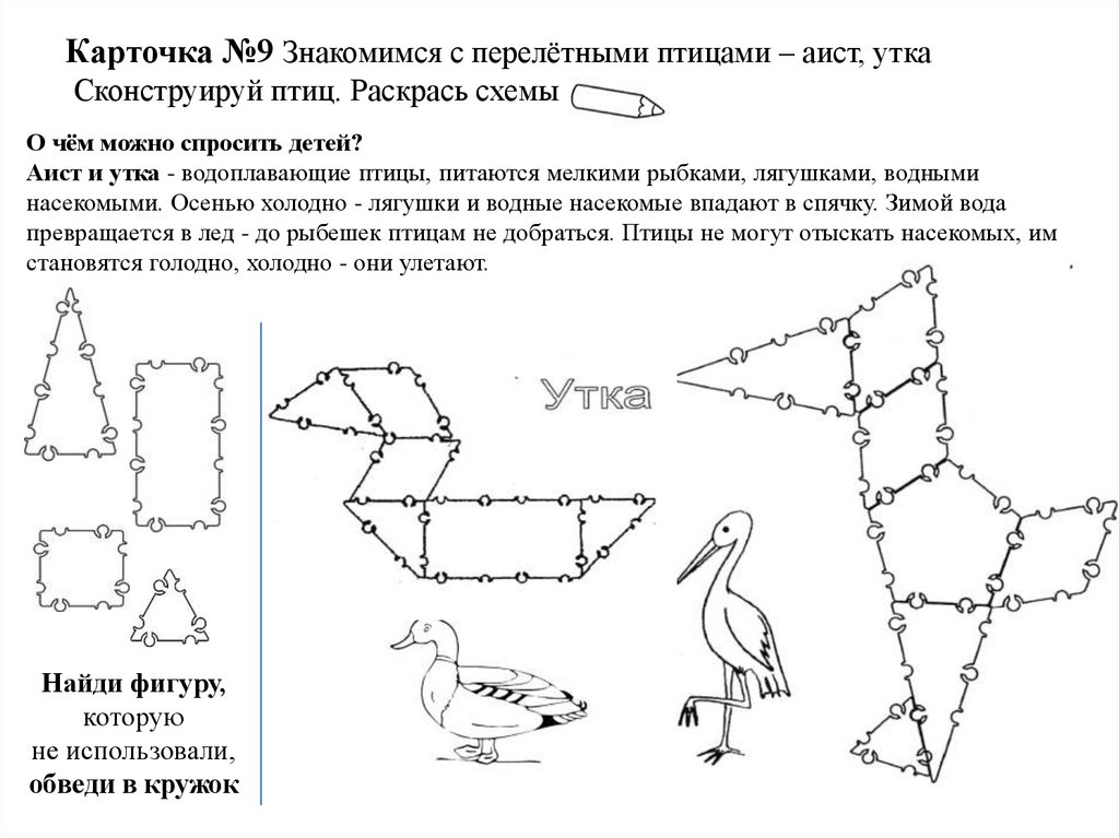 Раскрась схемы ель