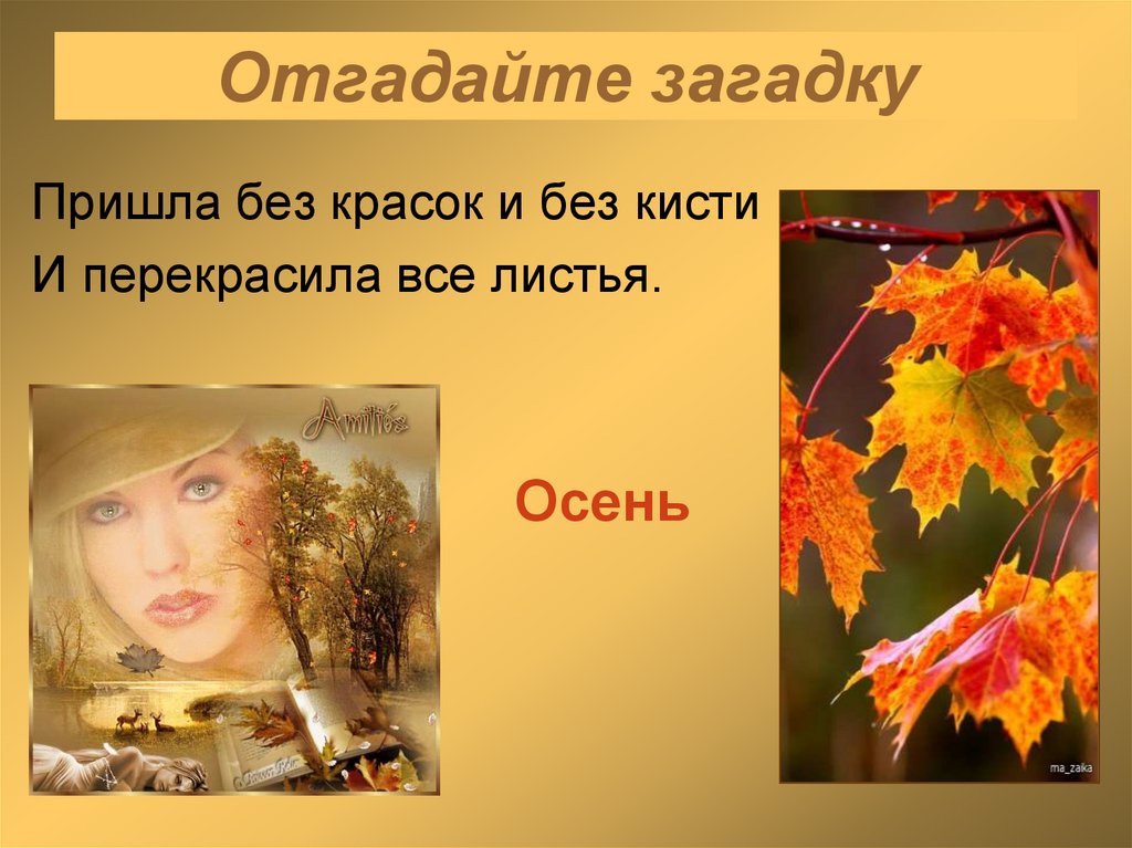 Отгадайте загадку
