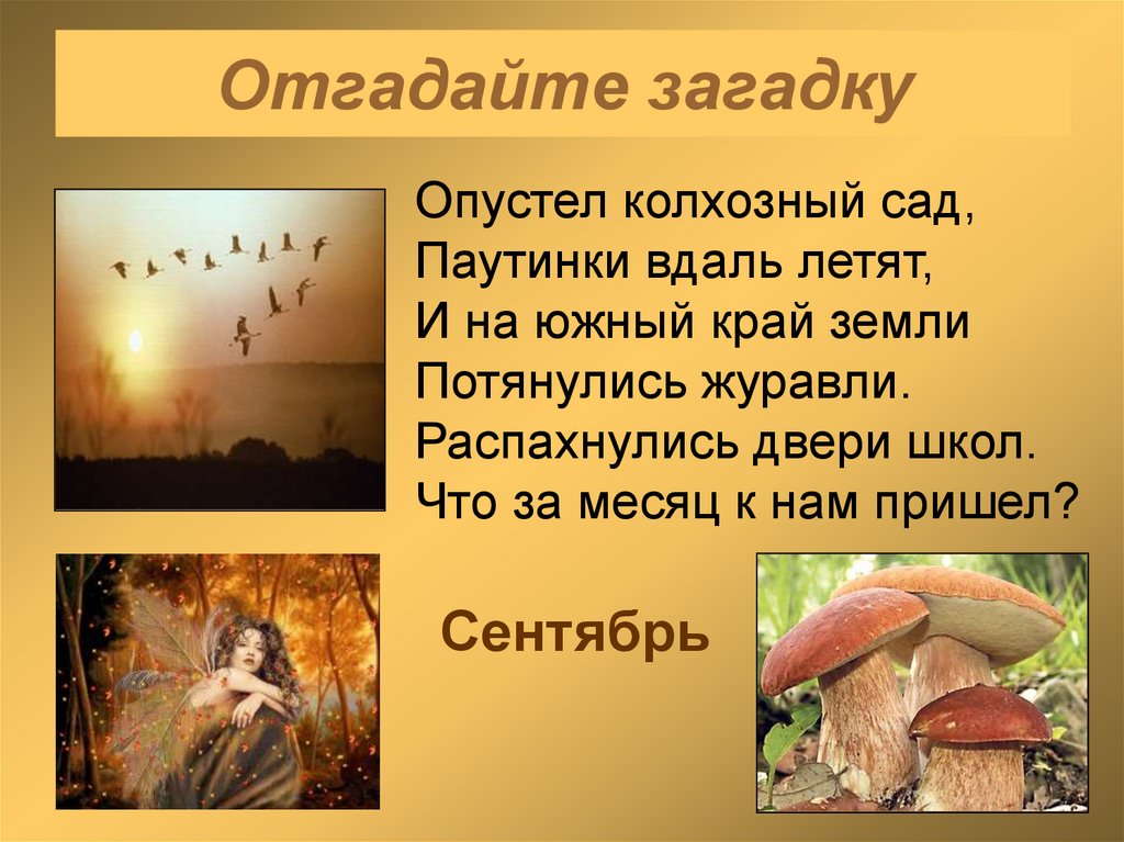 Отгадайте загадку