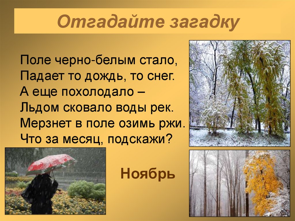 Отгадайте загадку