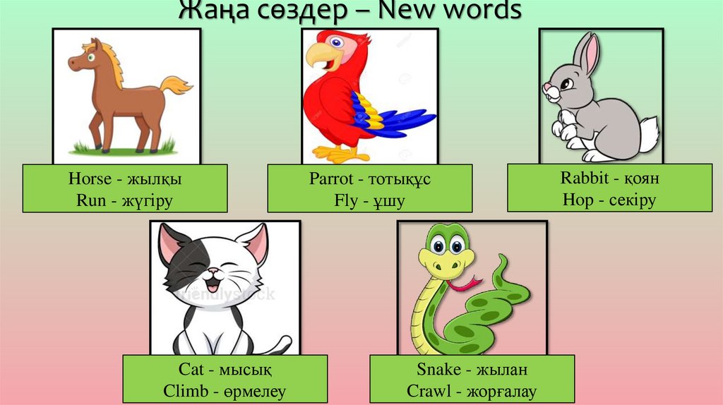 Жаңа сөздер – New words