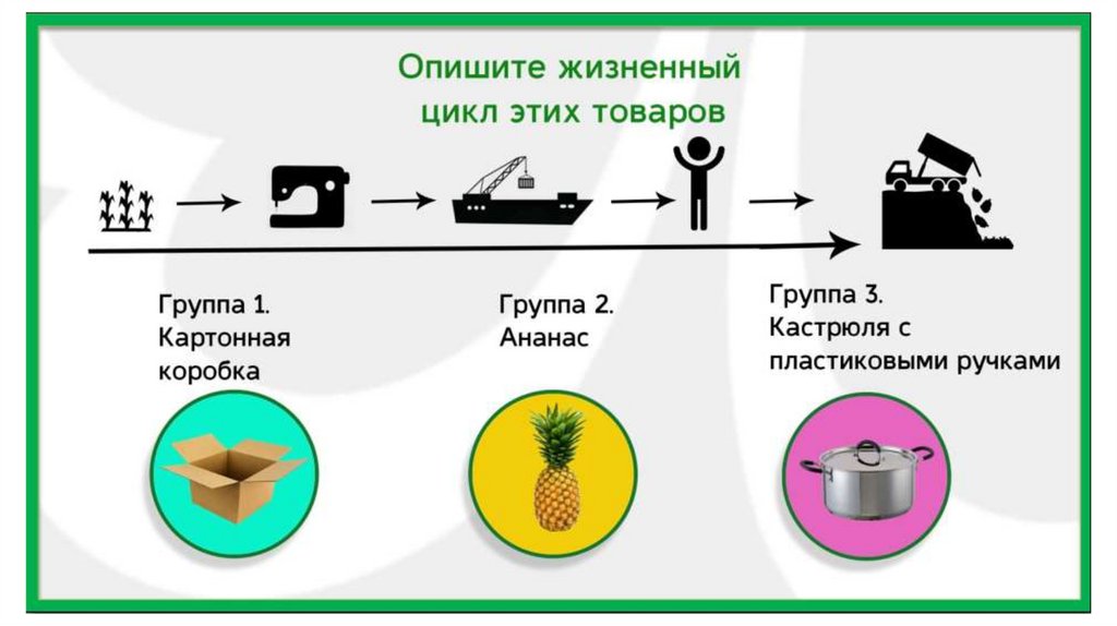 Описать жизненный цикл. Опишите жизненный цикл какой либо профессии.