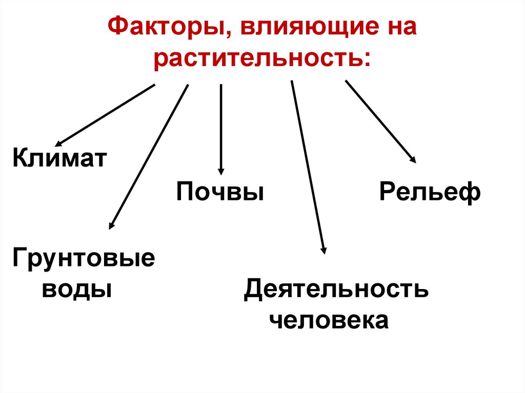 Схема типы растительности