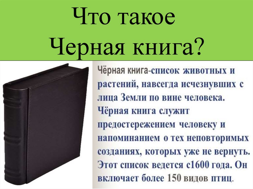 Краткое содержание чернее черного. Черная книга. Чёрная книга животных. Чёрная книга животных и растений. Сообщение о черной книге.