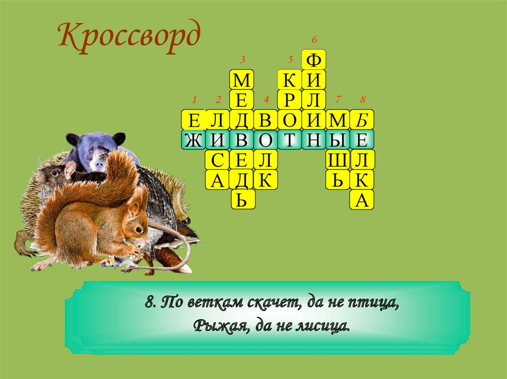 Вопрос ответ животные. Какие бывают животные?. Конкурс чип какие бывают животные. Какие бывают животные тест.