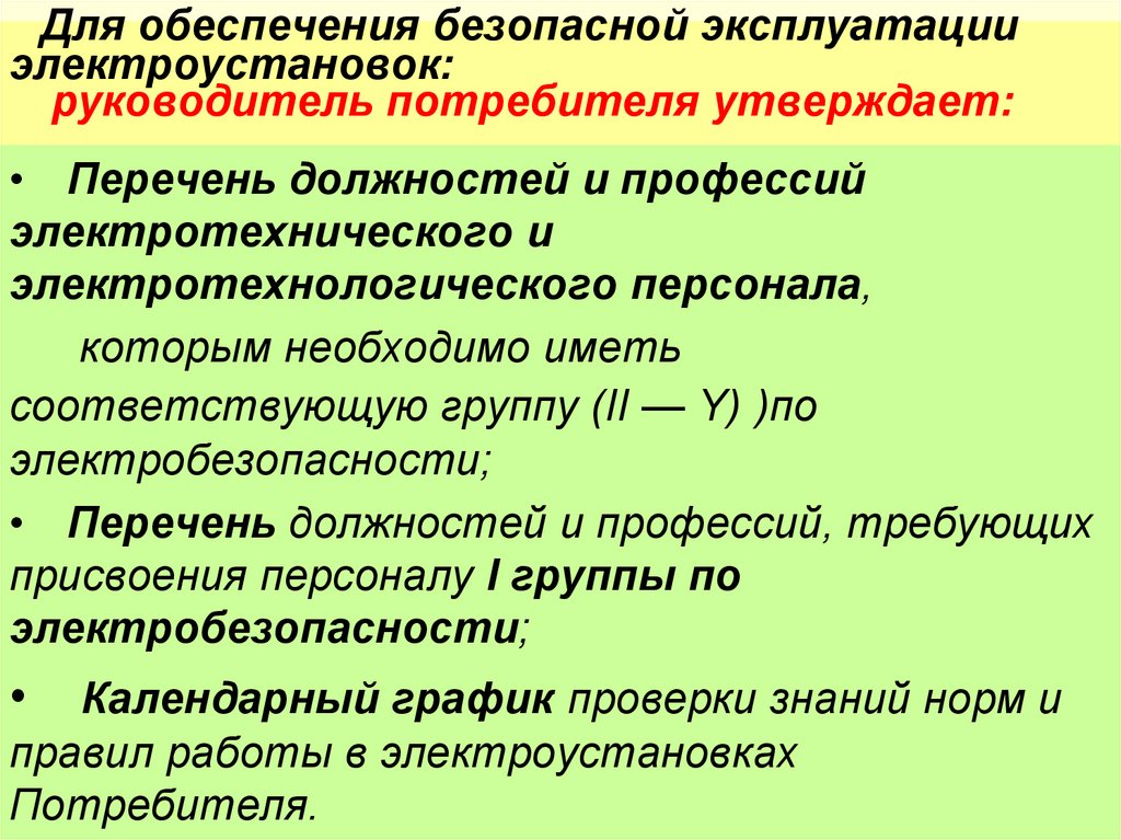 Руководитель электроустановки