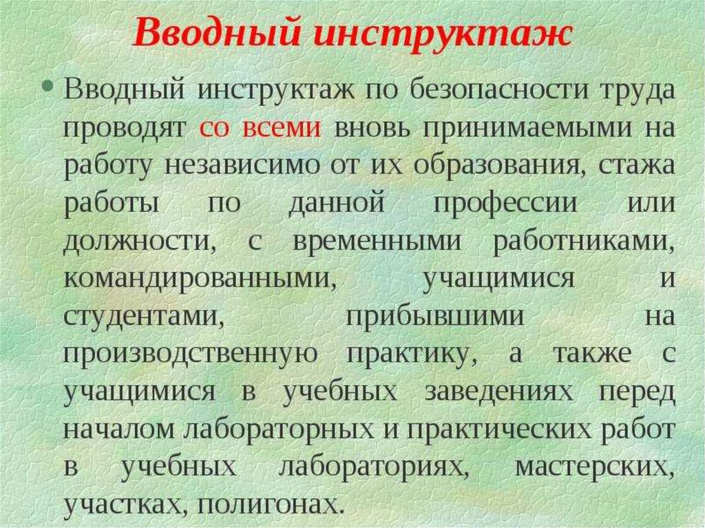 Вводный инструктаж директора