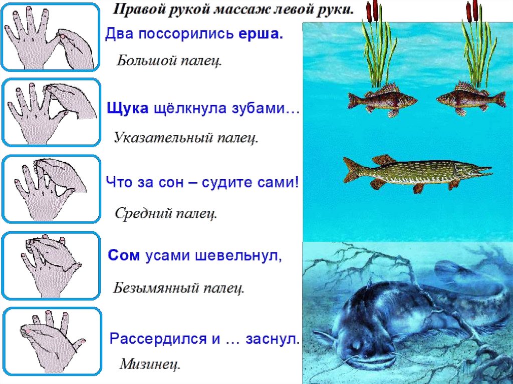 План в средней группе по теме рыбы